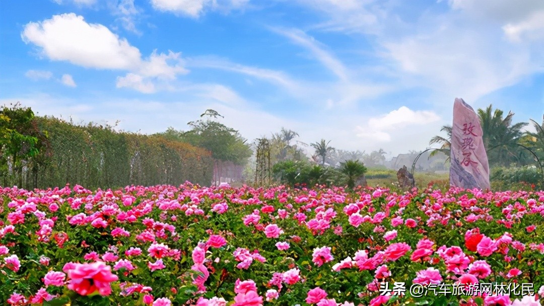 临沂三亚版海南五星双岛双飞5/6日游