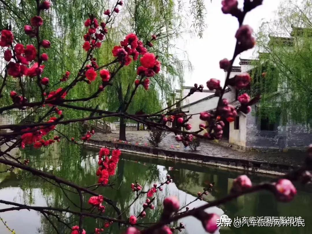 临沂国际影视城由汽车旅游网联手运营