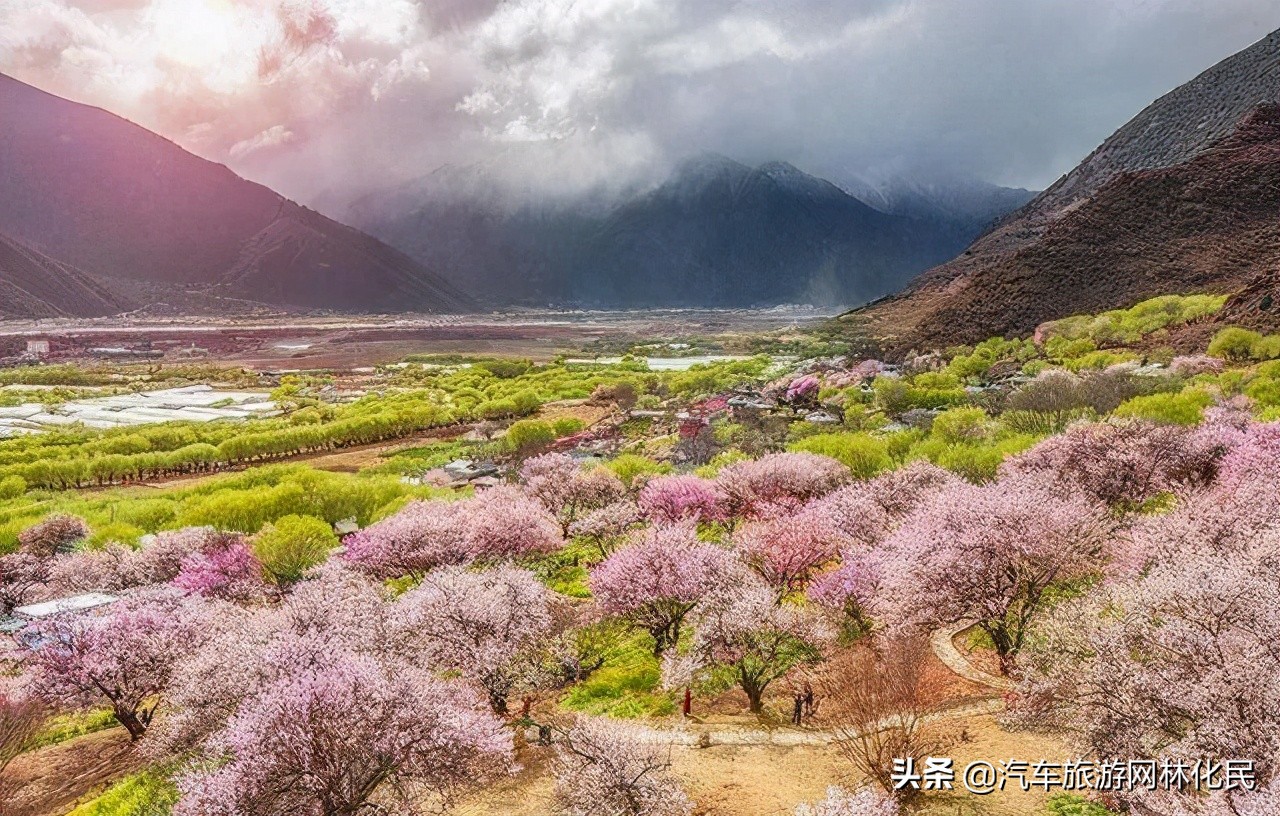 寻梦青藏双飞双卧10天-青海湖