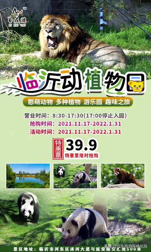 明年奇瑞,向着下一个1000万辆出发